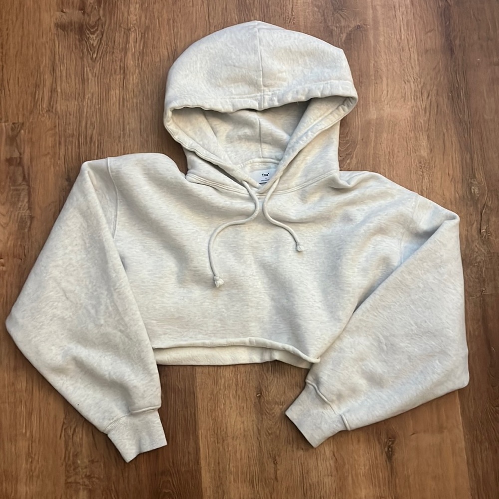 Aritzia TNA cropped boyfriend boxy hoodie